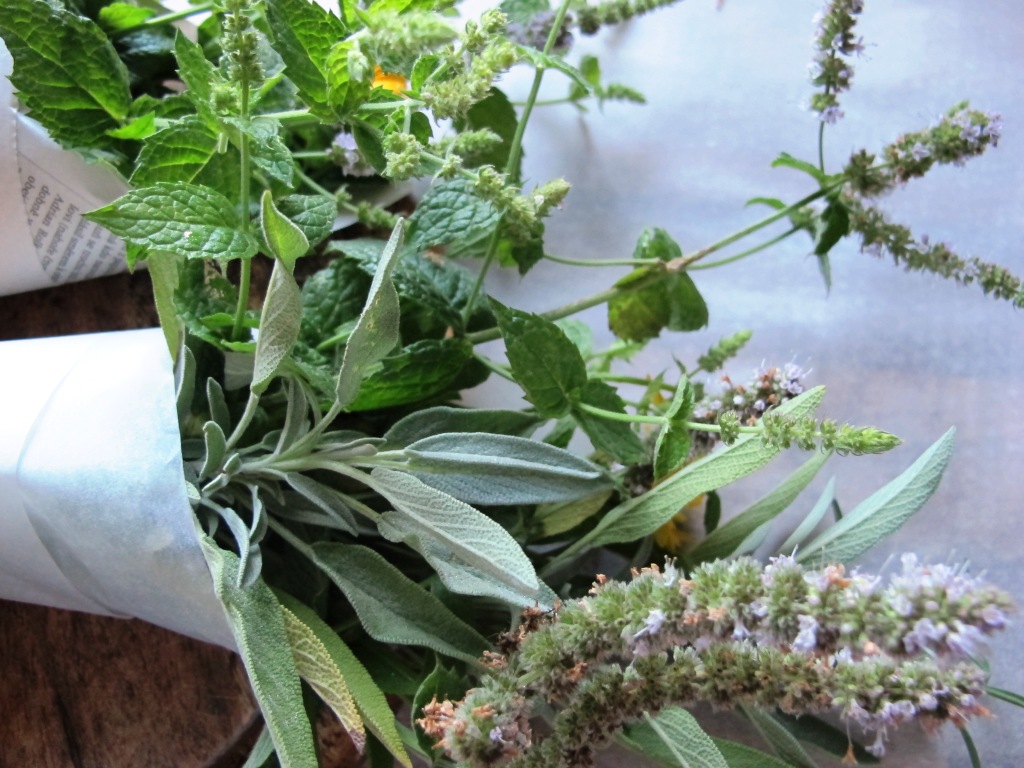 IMG_4676