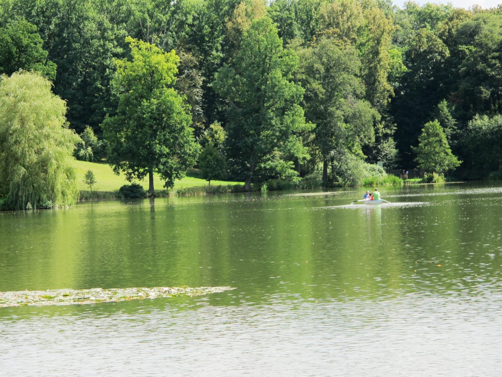 IMG_5992
