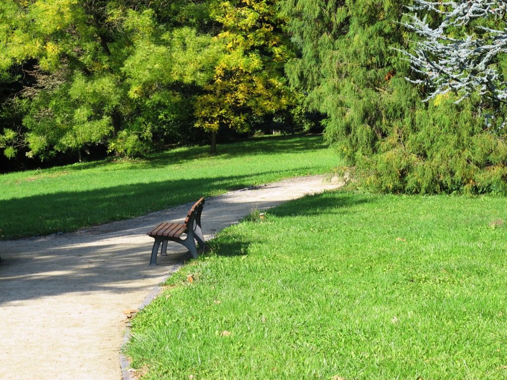 IMG_7727