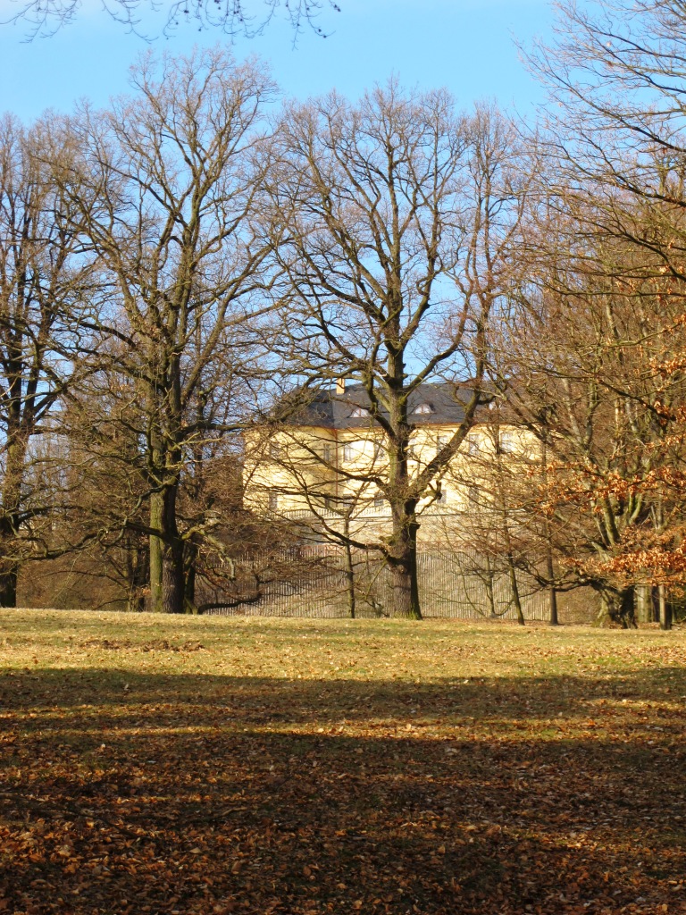 IMG_8971