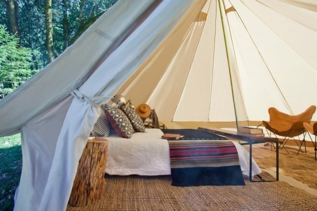 shelter-co-tent-butterfly-chair