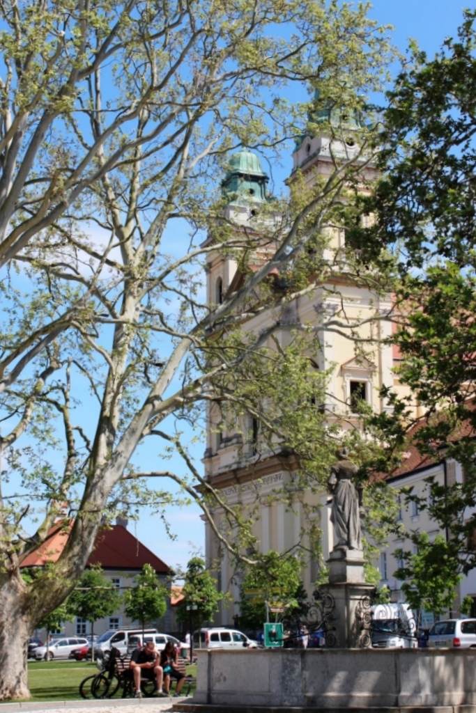 IMG_7646mn