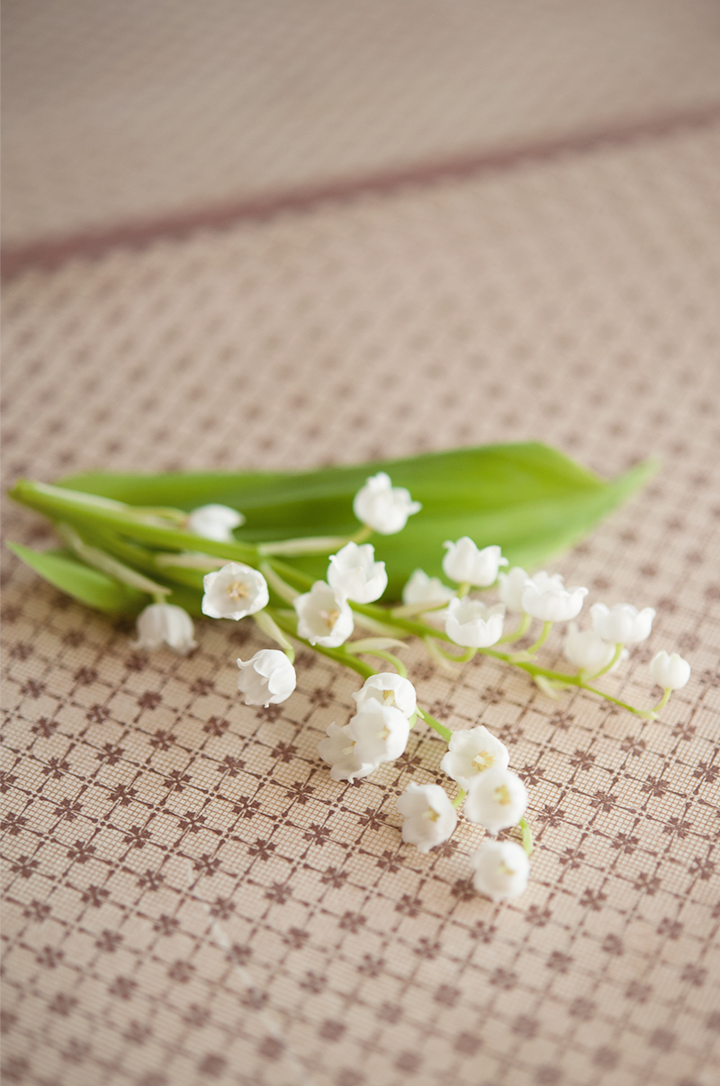 79ideas-lilly-of-the-valley-detail