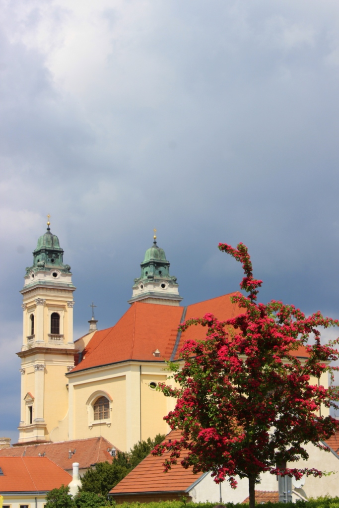 IMG_6045v