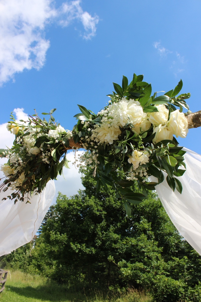 IMG_8234
