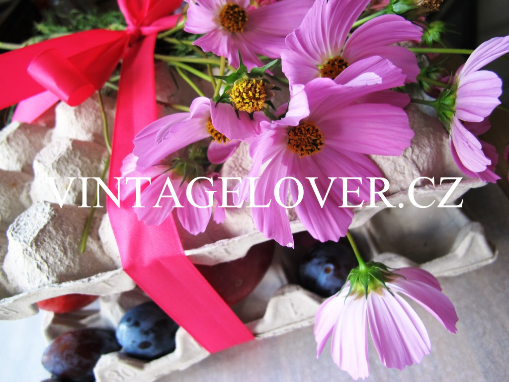 vintagelover.live