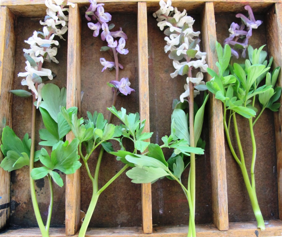 vintagelover.live