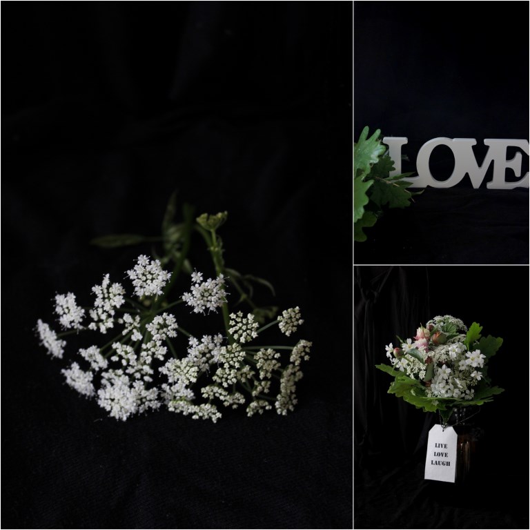 vintagelover.live