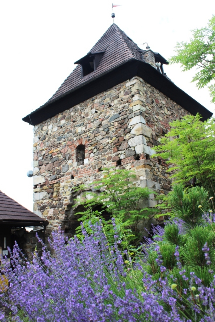 vintagelover.live