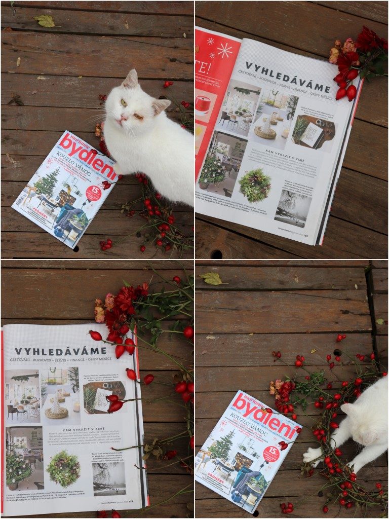 vintagelover.live